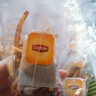Trà lipton thảo dược