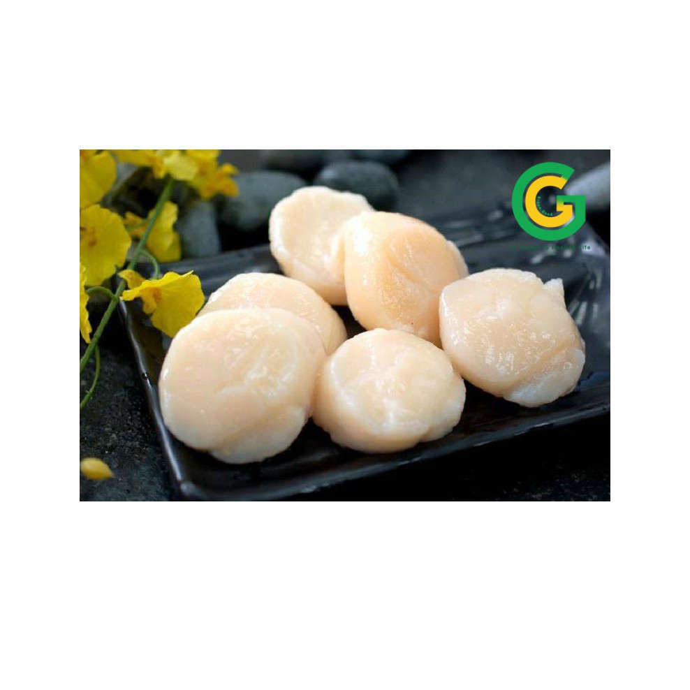 Cồi sò điệp Việt - nướng, áp chảo, nấu súp, xào siêu ngon 500gr