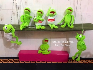 Ếch kermit nhồi bông 77k