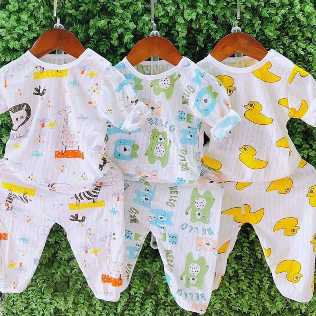Combo 5 bộ cotton giấy