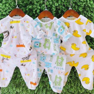 Combo 5 bộ cotton giấy