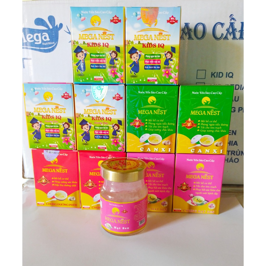 Hũ yến sào Mega Nest dành cho người lớn và em bé 70gr