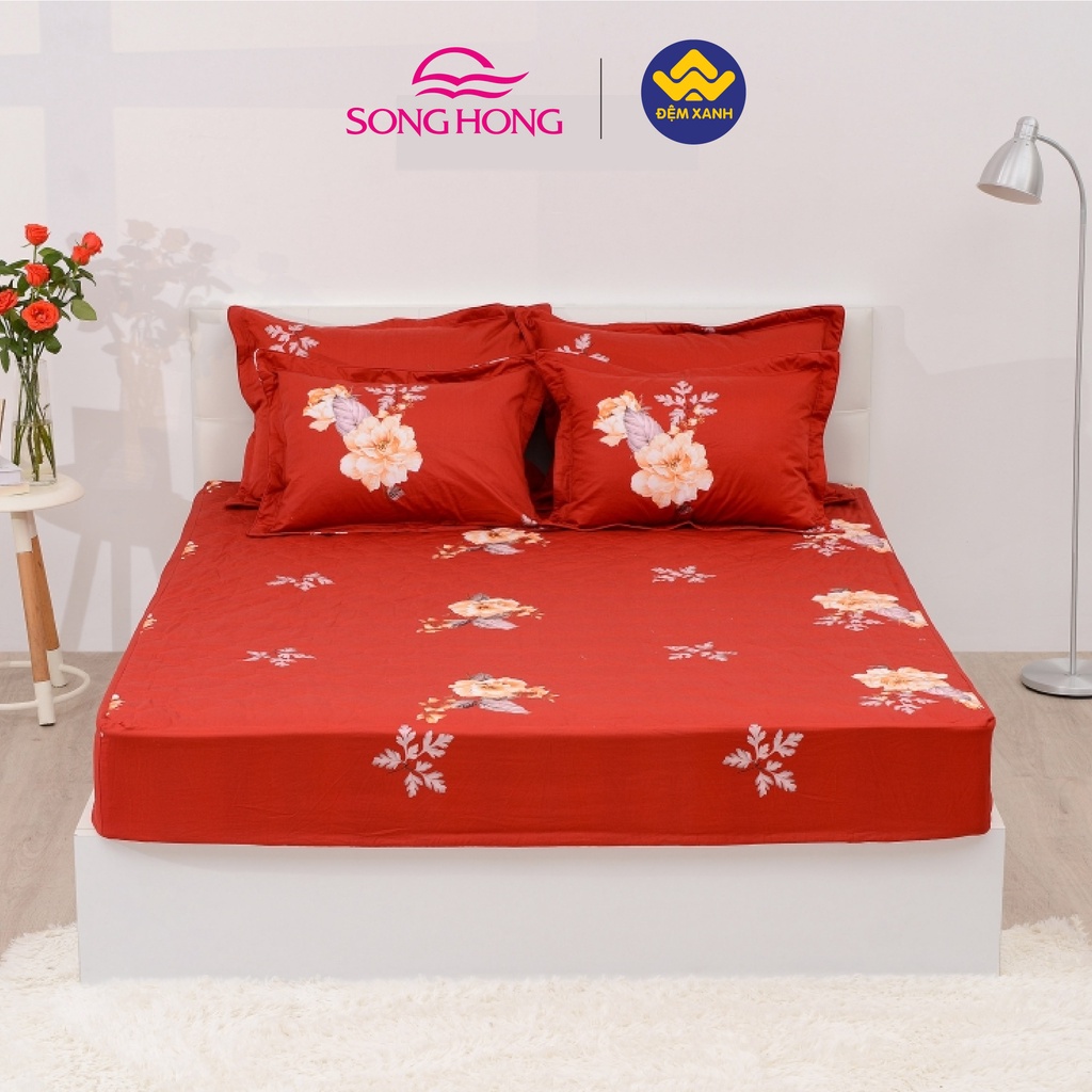 Bộ ga gối Sông Hồng Basic cotton BC22064