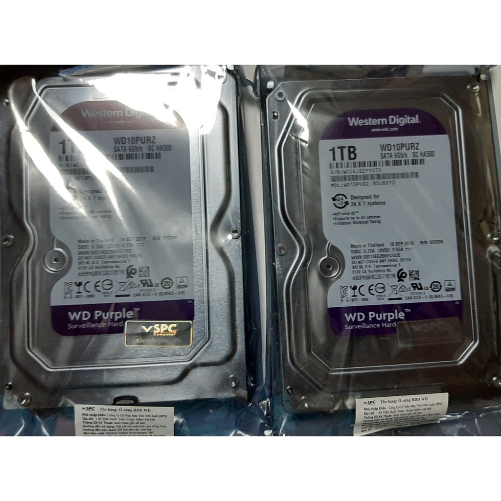 ổ cứng HDD WD Purple  1TB - 2TB | BigBuy360 - bigbuy360.vn