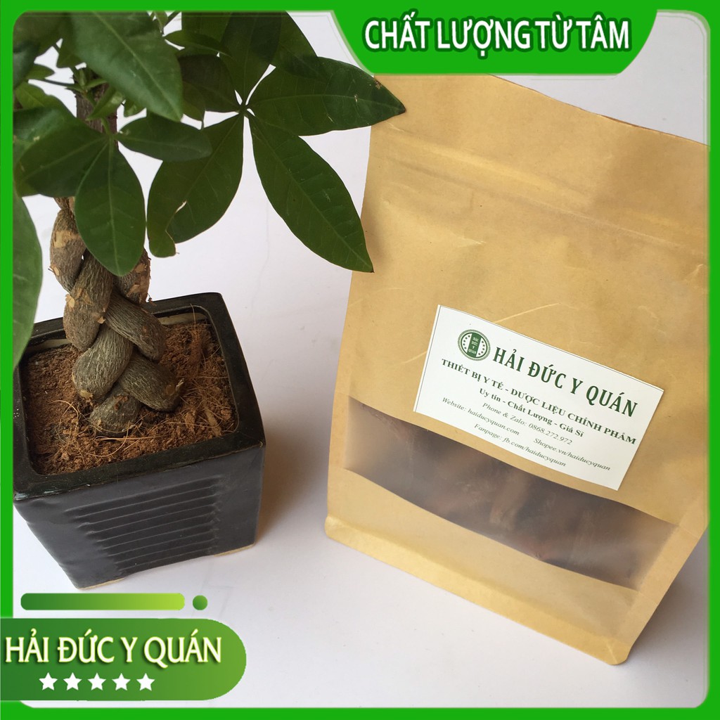 Đan Sâm Tứ Xuyên  Nguyên Rễ Siêu To, đẹp, Thơm