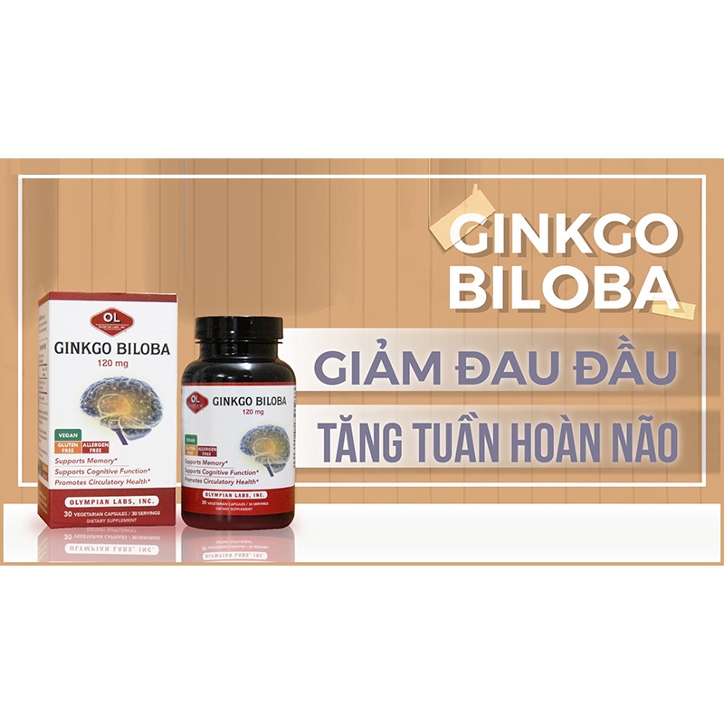 Viên Uống Bổ Não Olympian Labs Ginkgo Biloba 120 mg.Tăng Cường Tuần Hoàn Não,Tăng Trí Nhớ