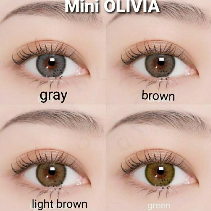 Mini Nobluk Nâu / Nâu Softlens. Bình Thường / Minus | BigBuy360 - bigbuy360.vn