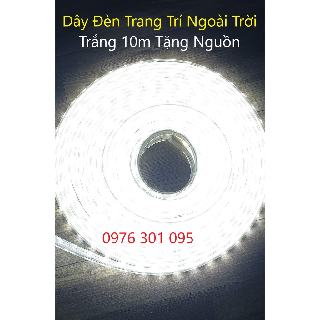 COMBO 10m Dây Đèn Trang Trí Ngoài Trời