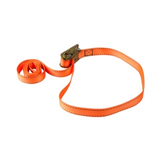 Dây chằng tăng đơ (bản 25mm/500kg)