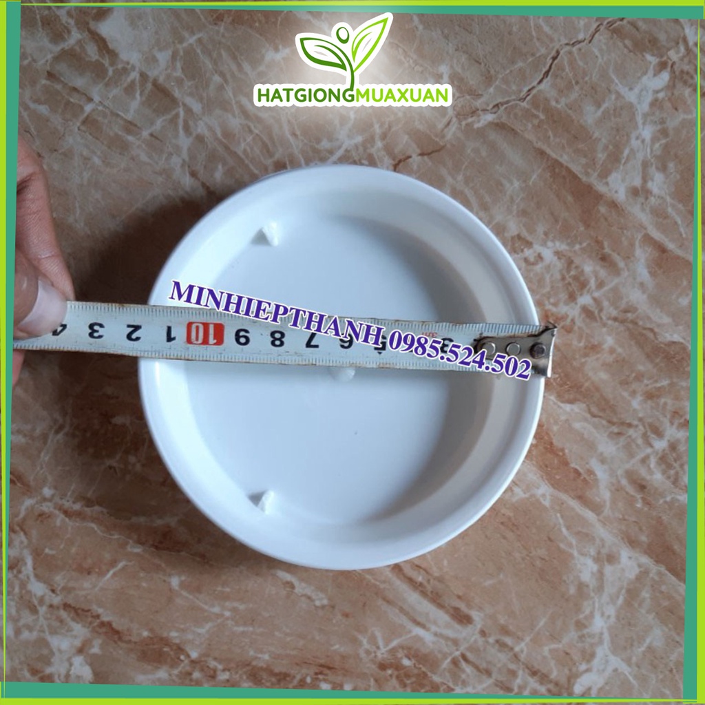 [HOT] đĩa lót chậu nhựa tròn trồng cây D10 đường kính 12cm (đế lót chậu nhựa) c/lượng, hg C/ty.