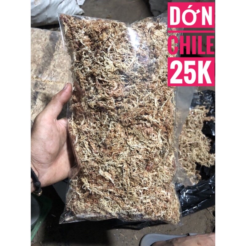 Dớn chile giữ ẩm siêu tốt túi 100g