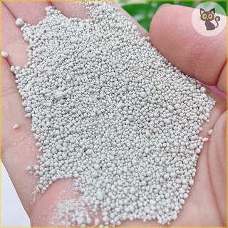 Cát vệ sinh cho mèo 5kg