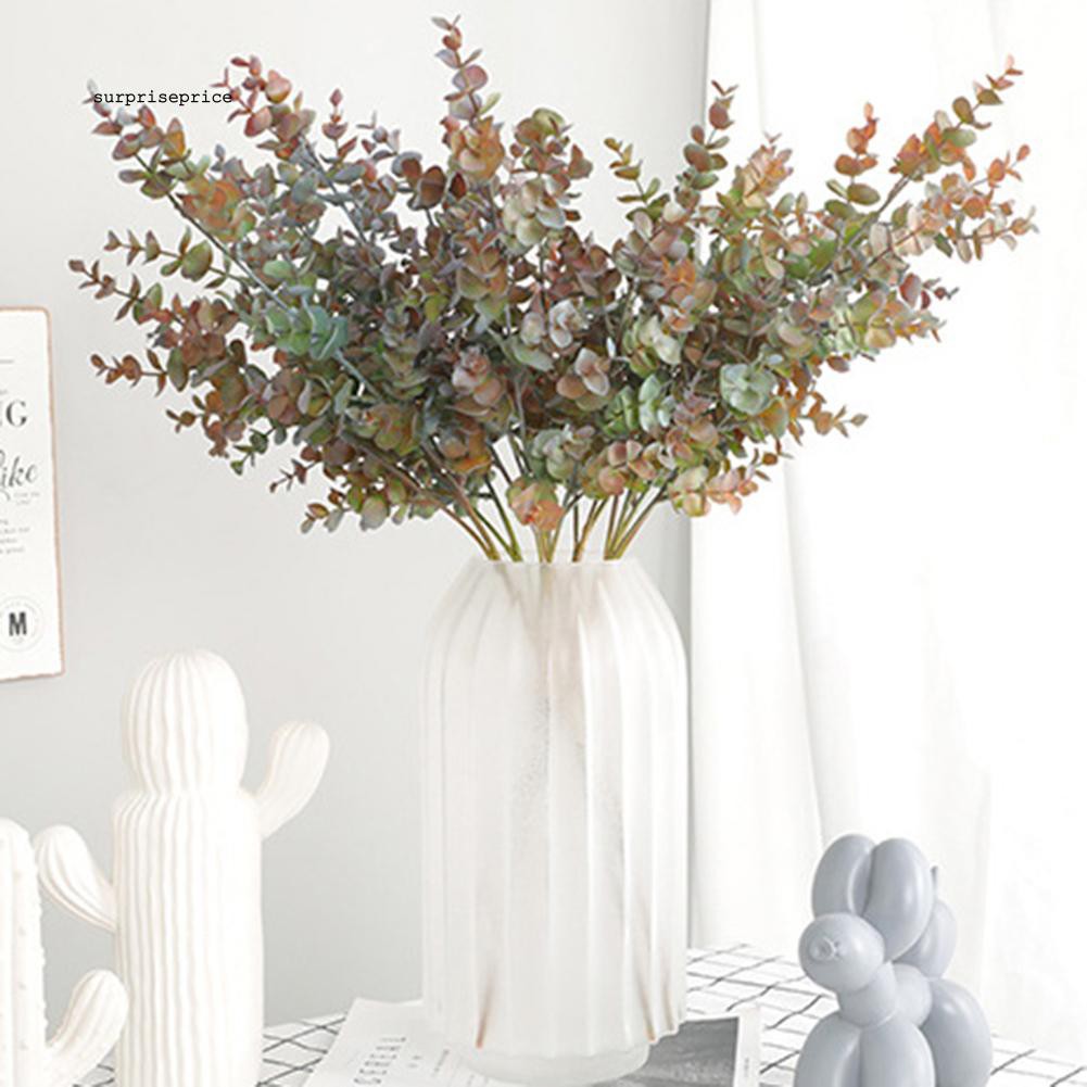 Nhánh lá bạch đàn giả đa năng chất lượng cao