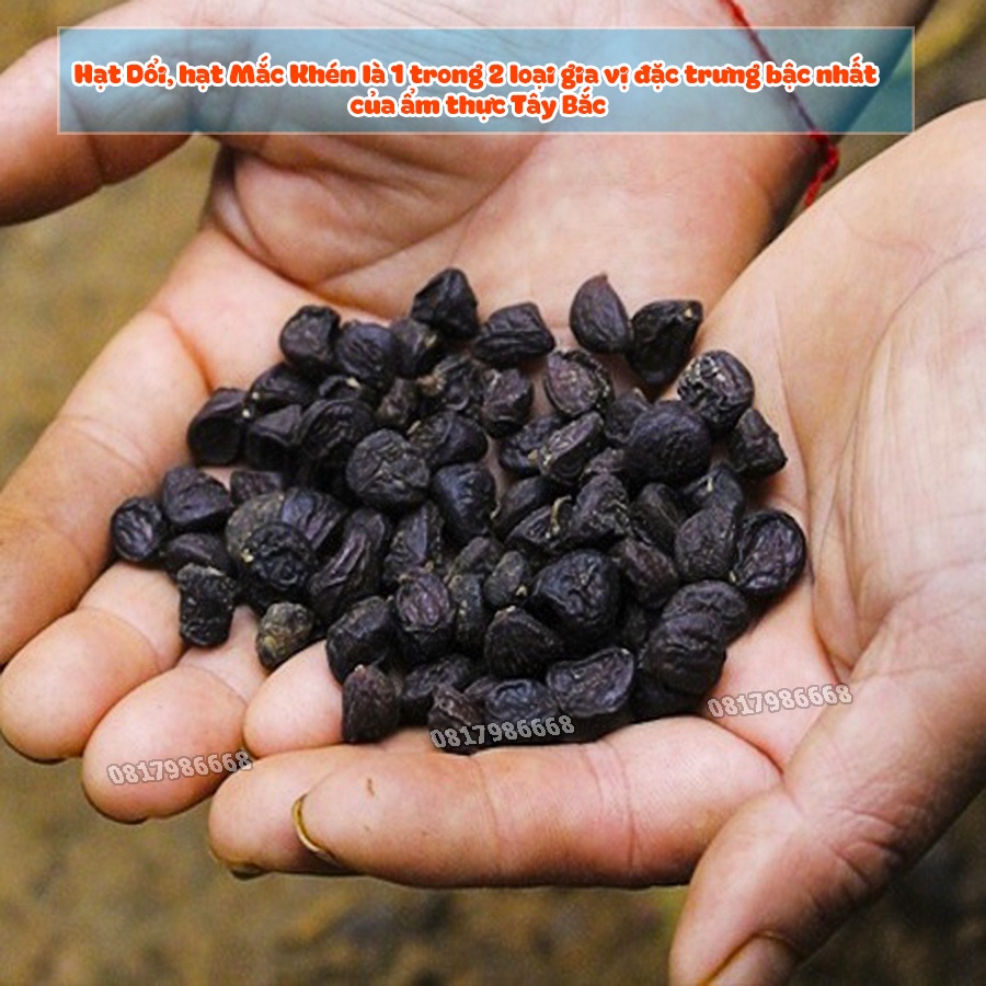 Hạt Dổi Nếp Rừng Tây Bắc  Gia Vị Ướp Món Nướng Đồ Chấm Chuẩn Vị Núi Rừng