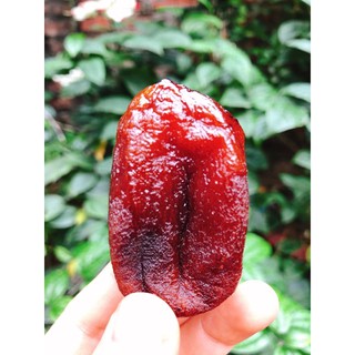 Hồng Sấy Gió Hosagi