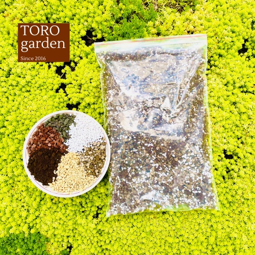 Đất trồng sen đá xương rồng trong truyền thuyết đất trồng sen đá trộn sẵn