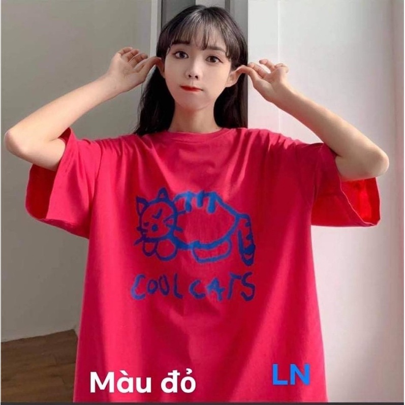 Áo phông mèo Cool decal TH6