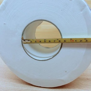 Giấy vệ sinh cuộn lớn 2 lớp 450 gram
