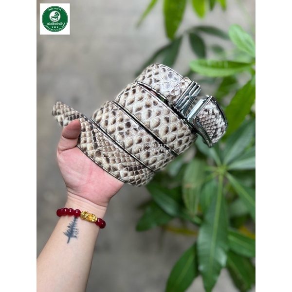 Dây Nịt Da Trăn  3,5cm CÁ SẤU GÒ VẤP