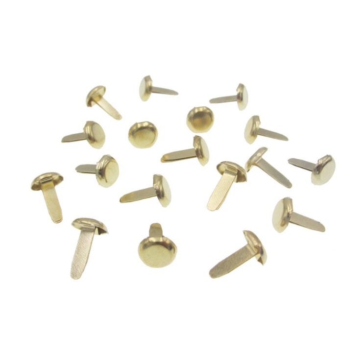 Set 100 đinh cánh phượng / đinh ghim 2 chân làm học liệu, con rối