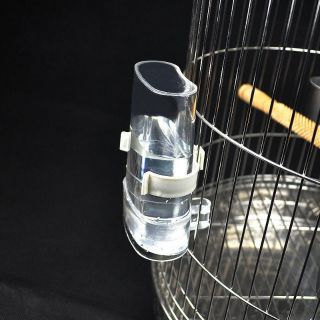 2 cóng ăn uống tự động cho chim