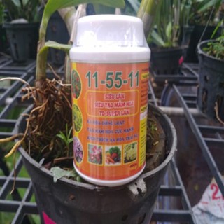 siêu lân giúp ra hoa đồng loạt, tạo mầm hoa cực mạnh