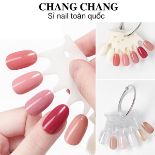 Móng mẫu vương miện tập vẽ (1 bịch 10 vỉ 50 móng loại tốt)