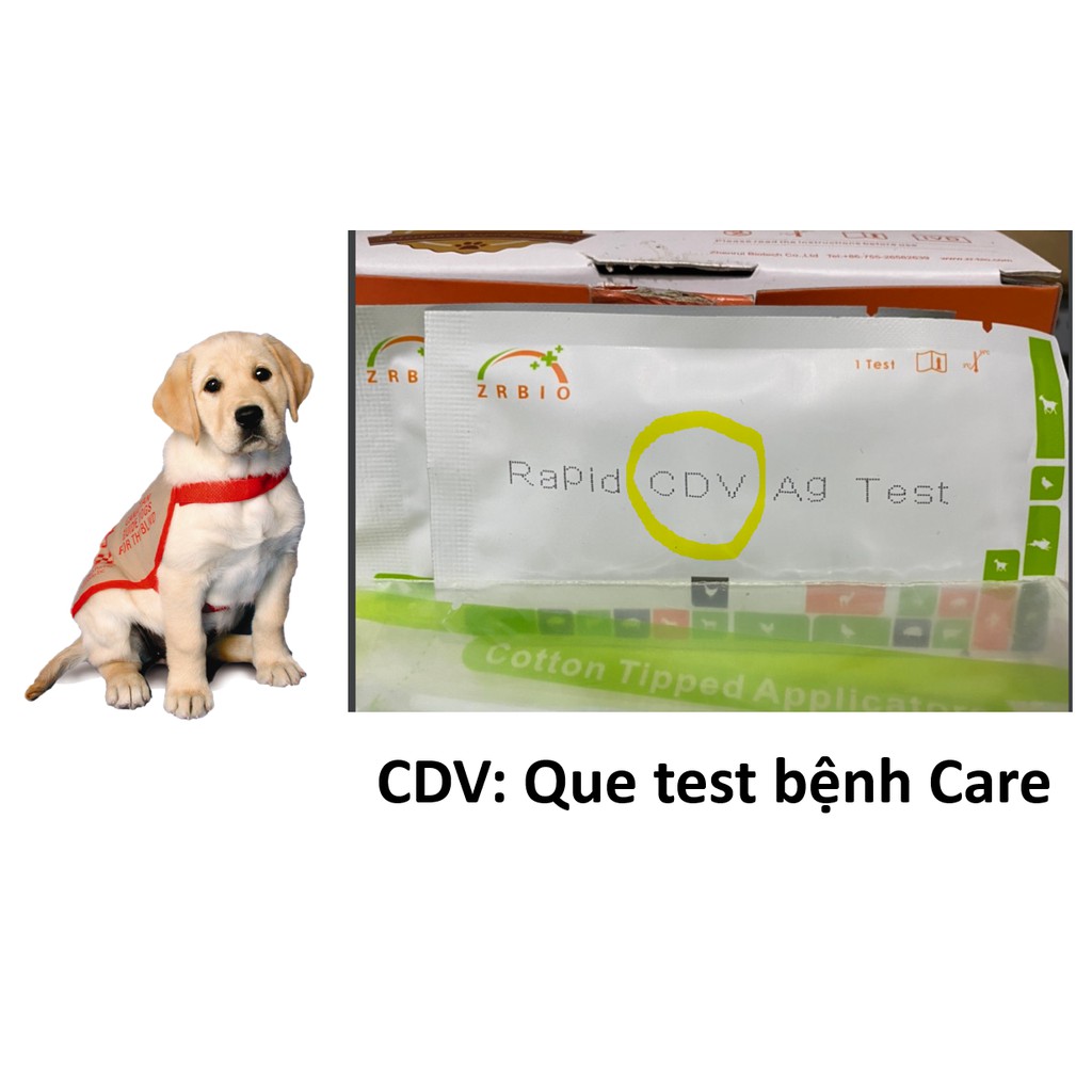 HCM- 1 Que test bệnh PARVO và CARE cho chó (hanpet que test) dụng cụ phòng khám chó mèo / que thử bệnh parvo tại nhà