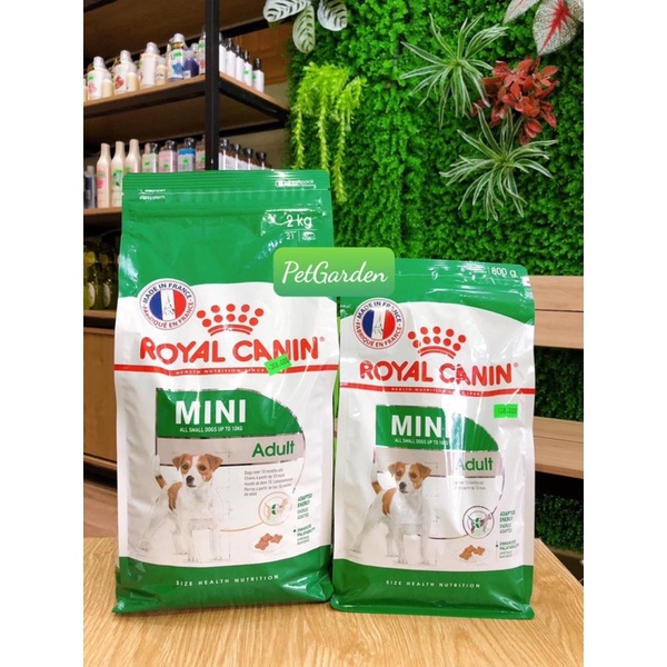 ROYAL CANIN MINI PUPPY / MINI ADULT THỨC ĂN CHO CHÓ