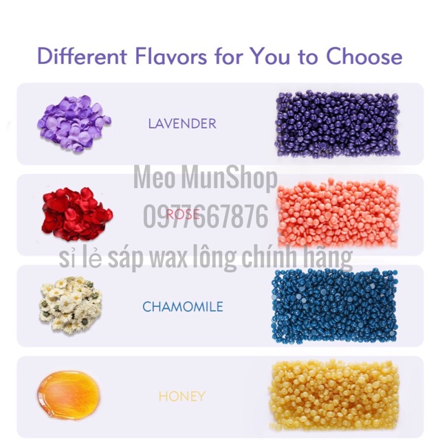 Combo Nồi Nấu Sáp wax Lông và sáp wax 100g blue zoo hard wax beans