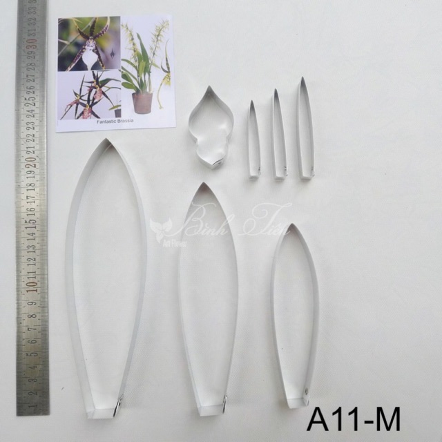 Khuôn cắt làm hoa đất sét - khuôn hoa lan nhện size M