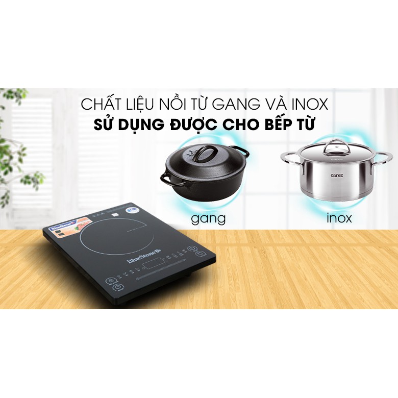 Bếp từ BlueStone ICB-6619