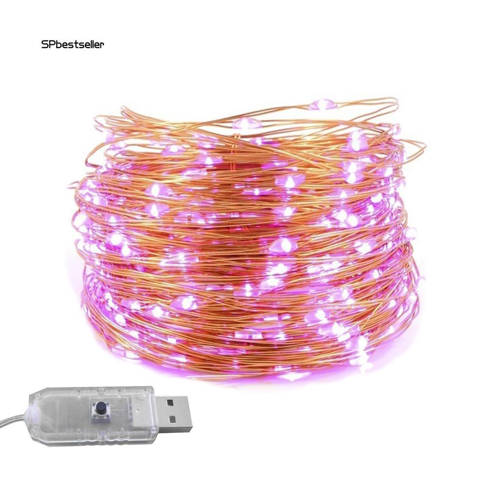 Dây đèn led phát sáng trang trí tiệc giáng sinh SPBS_5 / 10m USB