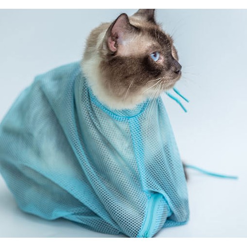 Túi Lưới Hỗ Trợ Tắm, Vệ Sinh Cho Mèo Tránh Bị Mèo Cào