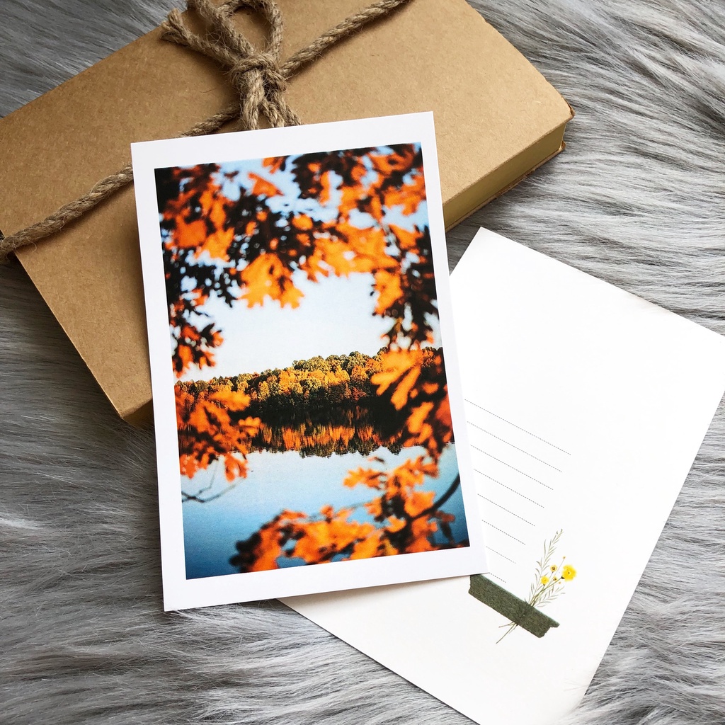 Postcard, Thiệp chúc mừng, Tranh trang trí BST mùa Thu  kèm bao thư Kraft