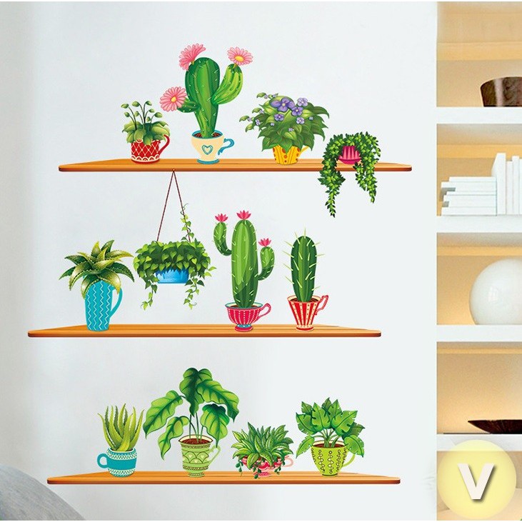 Decal dán tường 3 tầng cây xương rồng