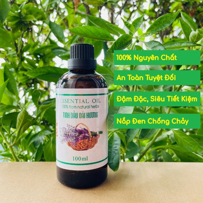Tinh dầu oải hương CANIFO 100ml nguyên chất -  lavender cao cấp, xông thơm phòng, lãng mạn cho phái nữ, hàng VIP