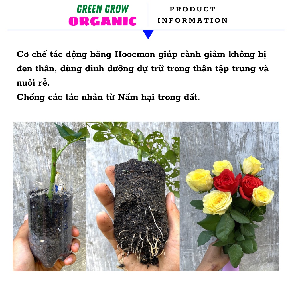 Kích rễ cực mạnh Green Grow Organic dùng giâm cành Hoa Hồng, Hoa Mai, Hoa Giấy, Hoa Lan giúp ra rễ sau 7 ngày MS112