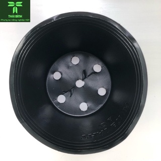 (Giá Sỉ) Combo 100 cái chậu nhựa C8