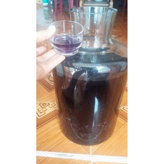 BA KÍCH TÍM KHÔ 100grm(có sẵn)