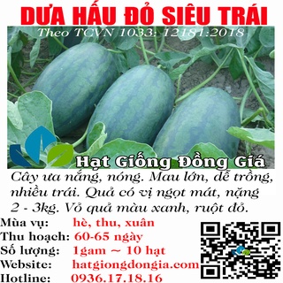 1gram ~ 10 hạt giống dưa hấu ruột đỏ ngọt lịm nhanh thu hoạch