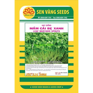 Hạt giống Rau Mầm Cải Bẹ Xanh Gói 20Gr Giàu dinh dưỡng Dễ trồng