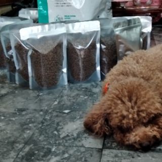 Hạt cho chó con cún con