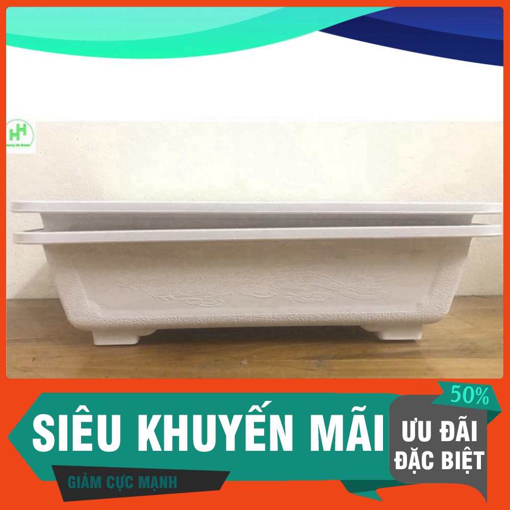 (Siêu Khuyến Mãi) 2 Chậu Nhựa Trồng Cây Mini AD 300x200x80 Hình Chữ Nhật Màu Trắng Siêu Đẹp - Made in VIETNAM