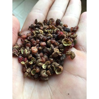 Hạt Hoa Tiêu ( Xuyên Tiêu )
