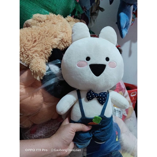 Gấu bông y hình