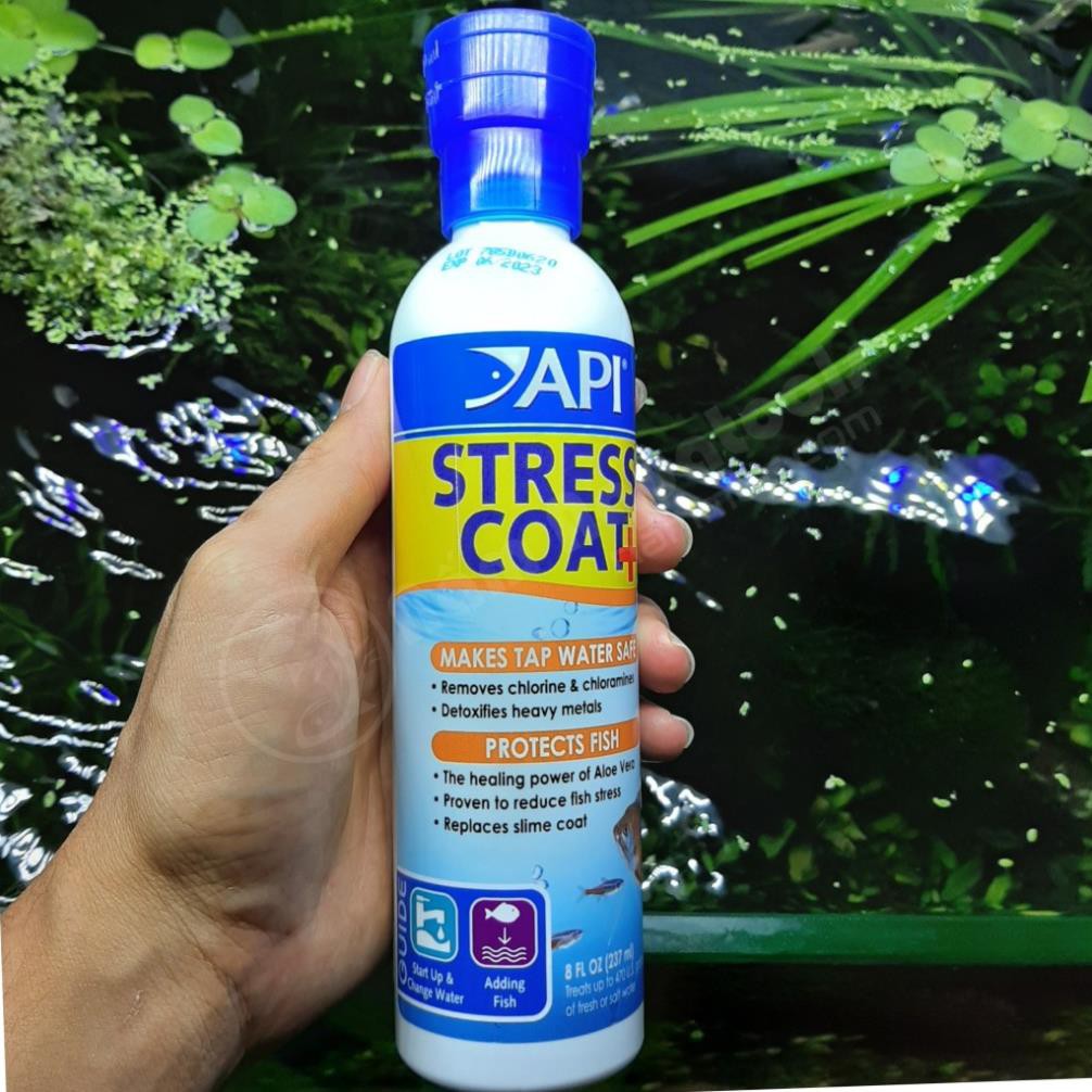 ☘ [Chính hãng] API Stress Coat | Thần Dược Khử nước, Giảm Stress, Phục hồi vết thương giành cho cá cảnh