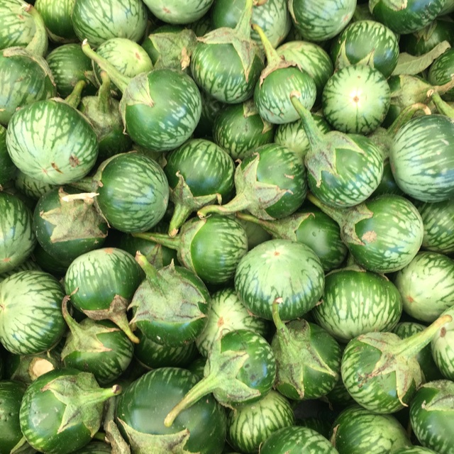 Hạt giống cà ghém cà ngọt lai F1 giòn ngon - rau củ quả trồng chậu, sân vườn ngon giòn ngọt nảy mầm cao 0.2gr RADO 525