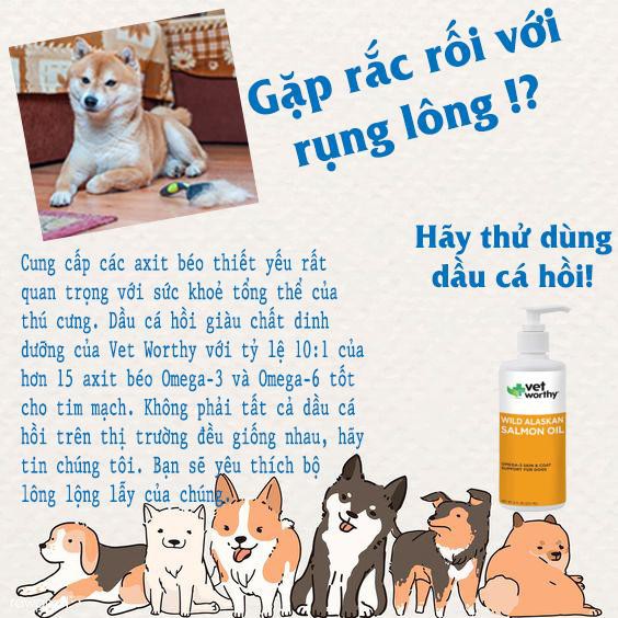 Dầu cá hồi Vet Worthy Salmon Oil cho chó & mèo 100ml