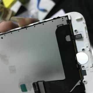 Màn hình iphone 7 zin